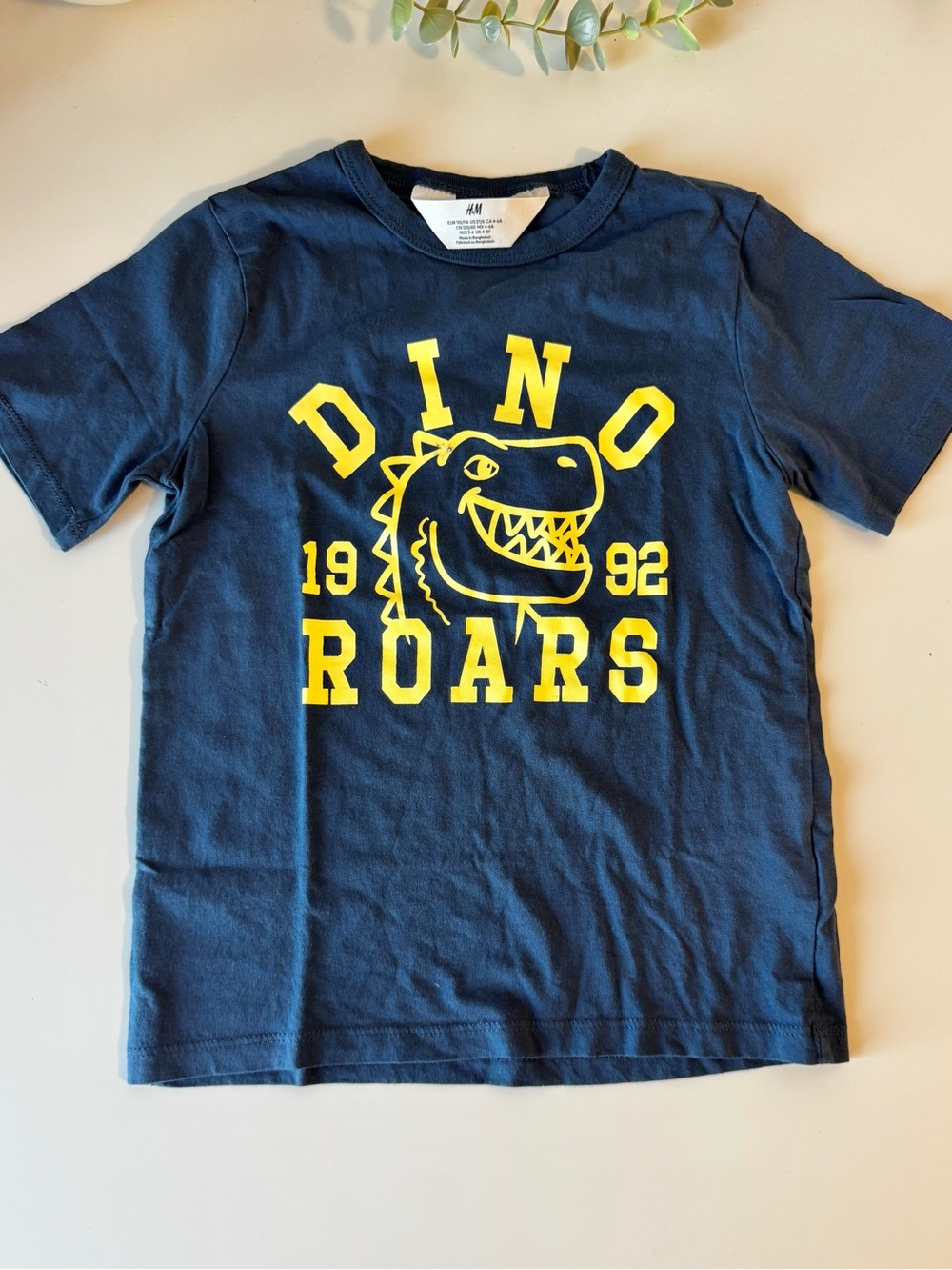 H&M Dinosaur Roars Graphic T-Shirt Blue Yellow Boys Size 4-5Y